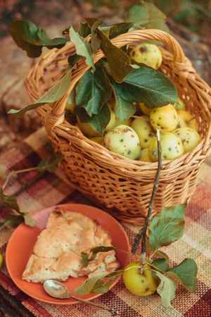 Basket with apples and charlotte from apples. Autumn harvesting. Collected homemade apples in the basket. Healthy foodの写真素材