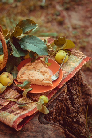 Basket with apples and charlotte from apples. Autumn harvesting. Collected homemade apples in the basket. Healthy foodの写真素材