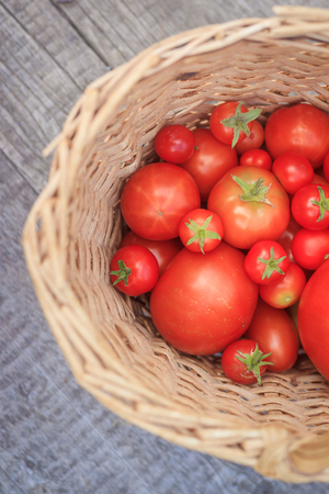 Tomatoes in a basket on a wooden background. Autumn harvest. Harvesting in summer and autumn. Homemade vegetables. Red vegetables.の写真素材