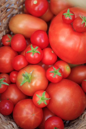 Tomatoes in a basket on a wooden background. Autumn harvest. Harvesting in summer and autumn. Homemade vegetables. Red vegetables.の写真素材