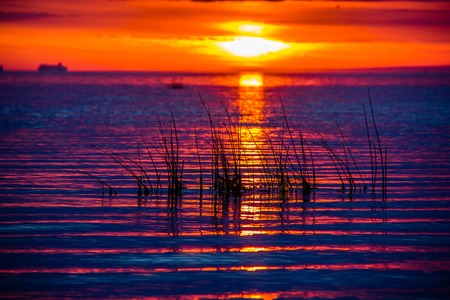 A bright sunset on the sea. Crimson sky and small wavesの写真素材