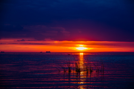 A bright sunset at the seaの写真素材