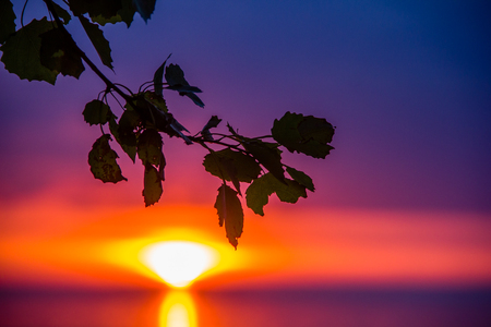 Sunset view at the seaの写真素材