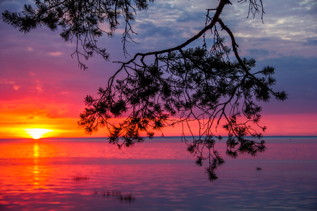 A bright sunset on the Gulf of Finland. Sunset at the sea. Sunset on the Gulf. warm summer, crimson sky and small wavesの写真素材