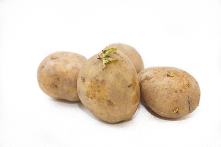 Potato isolated on white background. Vegetables on a white background. Food . Healthy eating. Vegetarianismの写真素材