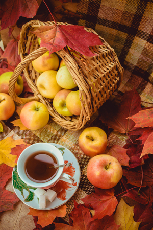 A cup of tea and apples with maple leaves. Autumn tea party, autumn mood, seasonal postcard.の写真素材