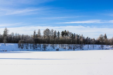 Photo of morning frosty winter parkの写真素材