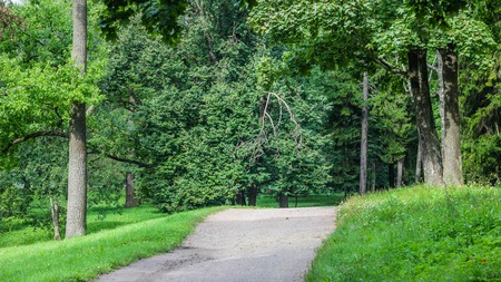 Summer park with green trees and stone paths. Can be used as desktop background