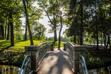 Summer park with bright nature trees with green leaves. Walk in the fresh air concept photoの写真素材