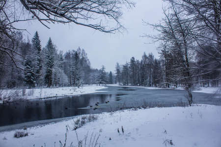 Winter park landscape with a river. Russian landscapes. Winter season, cold season. Snow pictureの写真素材