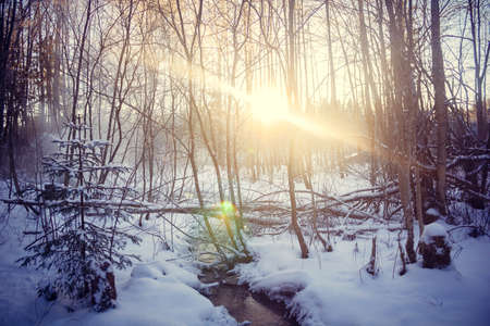 Gatchina geysers in winter. A jet of water up from the ground. Ice growths from waterの写真素材