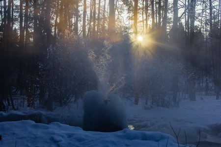 Gatchina geysers in winter. A jet of water up from the ground. Ice growths from waterの写真素材