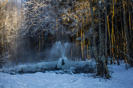 Gatchina geysers in winter. A jet of water up from the ground. Ice growths from waterの写真素材