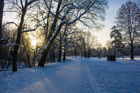 Winter landscape in clear weather. Frosty daylight at sunsetの写真素材
