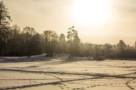Winter landscape in clear weather. Frosty daylight at sunsetの写真素材
