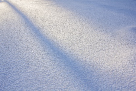 Snow texture White background. Cold texture and background. Winter pictureの写真素材