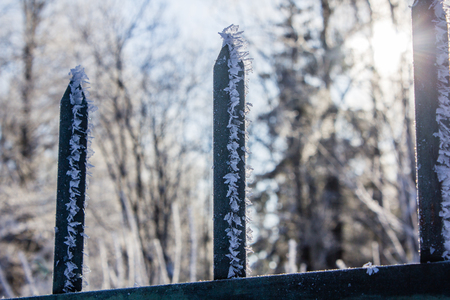 Frozen fence. Snow on a cold fence. Winter picture. Iron fenceの写真素材