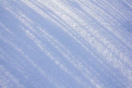 Snow texture White background. Cold texture and background. Winter pictureの写真素材