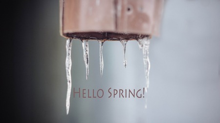 Hello, spring picture. Greeting card. Spring picture Text Hello Springの写真素材