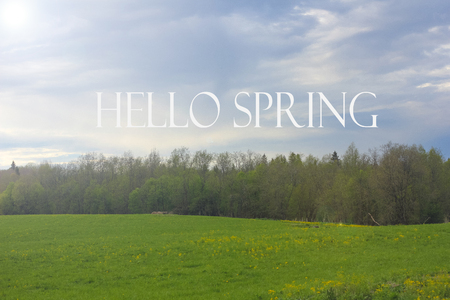 Hello, spring picture. Greeting card. Spring picture Text Hello Spring
