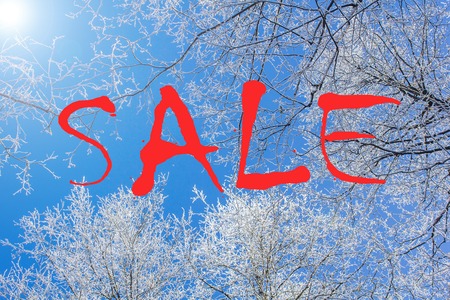 Inscription SALE on a winter photo. Advertising discounts. Banner SALE