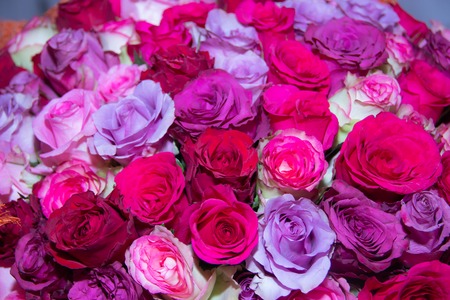 Bouquet of different roses.の写真素材