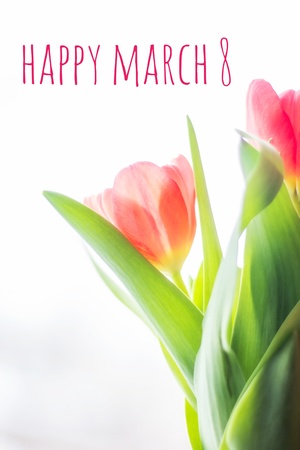 Postcard on March 8. Congratulations on the feast of women.の写真素材