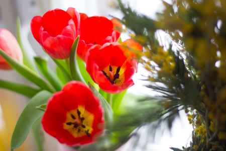 Red tulips in a vase. Postcard to the international women's day. March 8.の写真素材