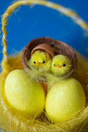 Little toy Easter chickens. Happy easter . Holiday Decorationsの写真素材