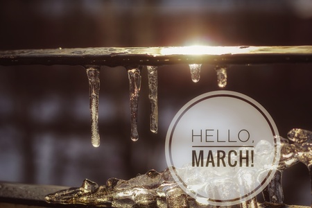 Banner hello march. Postcard . Greetings of spring. We are waiting for spring. Hello marchの写真素材