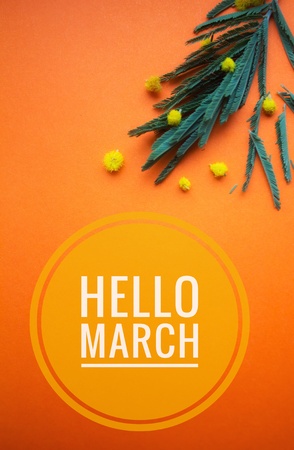 banner Hello March.Greeting card. The beginning of the new season. Spring cameの写真素材