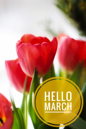 banner Hello March.Greeting card. The beginning of the new season. Spring cameの写真素材