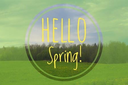 Postcard Hello Spring. Welcome card banner. Spring mood. Nature wakes up
