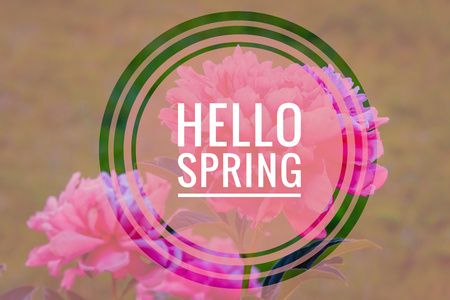 Postcard Hello Spring. Welcome card banner. Spring mood. Nature wakes up