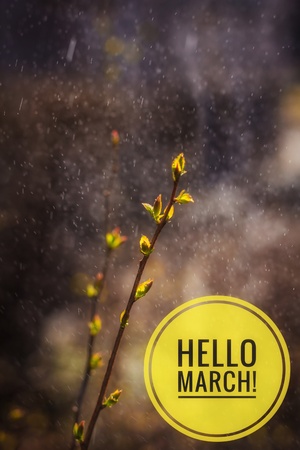Banner hello march. Greetings of spring. We are waiting for spring. Hello marchの写真素材