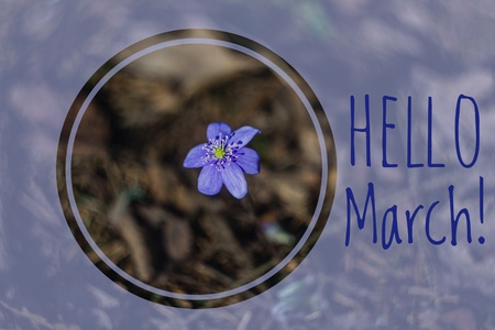 Banner hello march. Greetings of spring. We are waiting for spring. Hello marchの写真素材