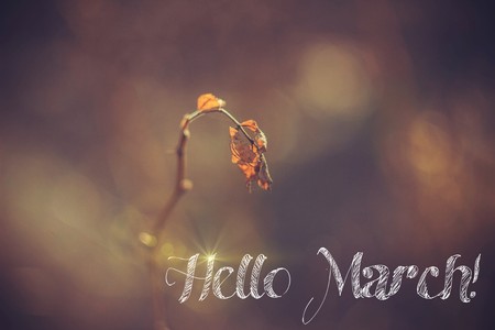 Banner hello march. Greetings of spring. We are waiting for spring. Hello marchの写真素材