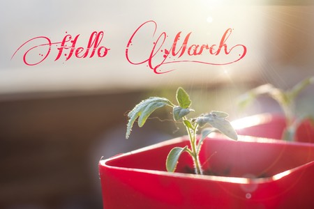 Banner hello march. Greetings of spring. We are waiting for spring. Hello marchの写真素材