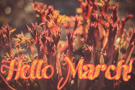Banner hello march. Greetings of spring. We are waiting for spring. Hello marchの写真素材