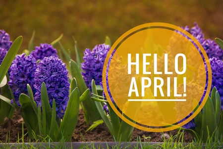 Banner hello april. Hi spring. Hello April. Welcome card We are waiting for the new spring month. Spring month. The second month of spring.の写真素材