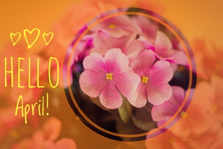 Banner hello april. Hi spring. Hello April. Welcome card We are waiting for the new spring month. Spring month. The second month of spring.の写真素材