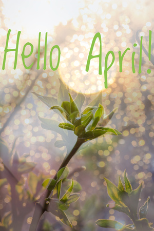 Banner hello april. Hi spring. Hello April. Welcome card We are waiting for the new spring month. Spring month. The second month of spring.の写真素材