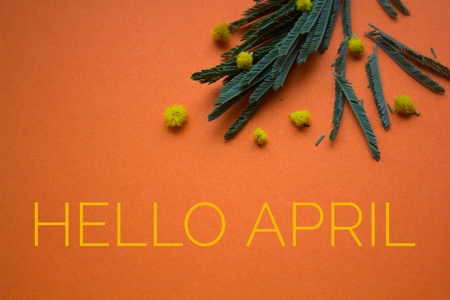 Banner hello april. Hi spring. Hello April. Welcome card We are waiting for the new spring month. Spring month. The second month of spring.の写真素材