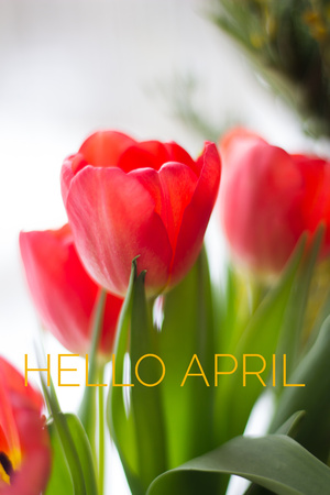 Banner hello april. Hi spring. Hello April. Welcome card We are waiting for the new spring month. Spring month. The second month of spring.の写真素材
