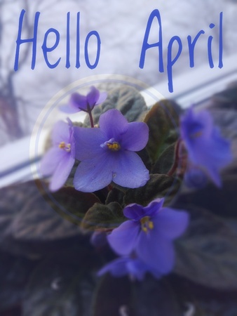 Banner hello april. Hi spring. Hello April. Welcome card We are waiting for the new spring month....