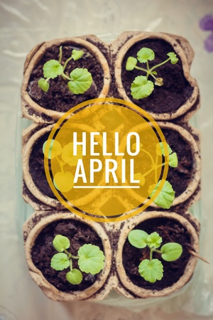 Banner hello april. Hi spring. Hello April. Welcome card We are waiting for the new spring month....