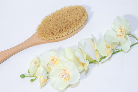 Brush for dry massage. New cosmetology. Getting rid of cellulite and stretch marks. Proper skin...
