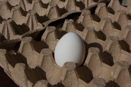 white egg in a cage. egg. a raw egg.の写真素材