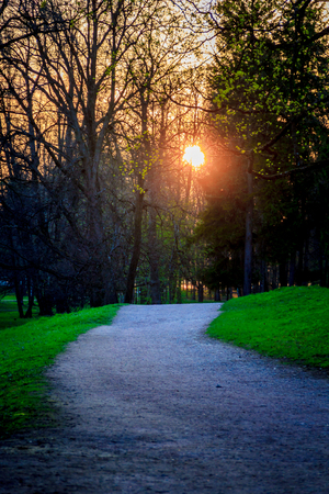 Sunny spring park urban. Warms in the park. Foliage blooms and the grass turns green. Russian park. May.の写真素材