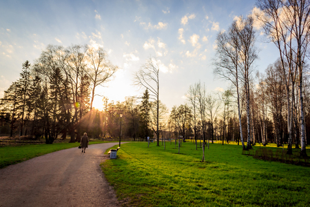 Sunny spring park urban. Warms in the park. Foliage blooms and the grass turns green. Russian park. May.の写真素材